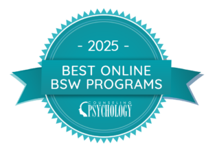 BASW Best Online Programs In US